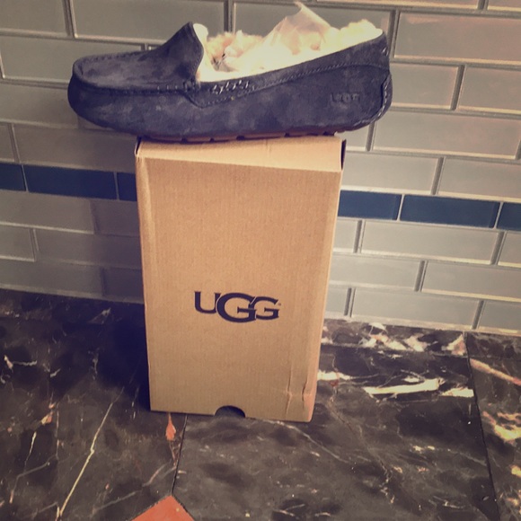 Shoes - UGG Slippers